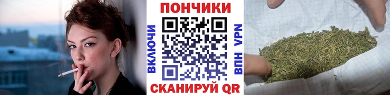 Купить где  Бирюч  МАРИХУАНА Amnesia 